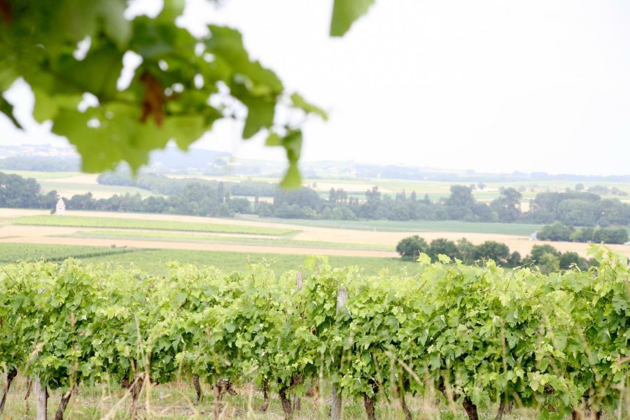 Au Coeur Des Vignes Bed and Breakfast Archiac Exteriör bild